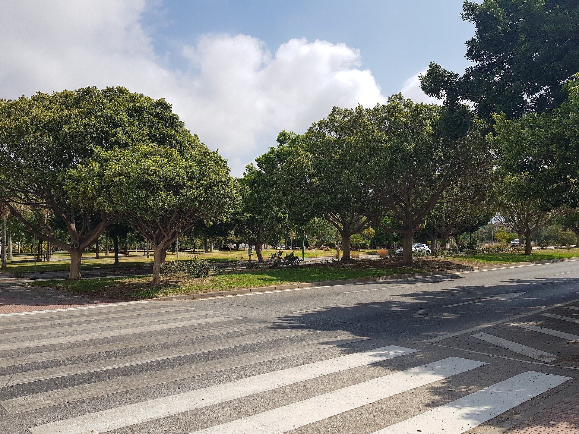 A serene park scene with lush green trees, a clear sky, and a pedestrian crossing.