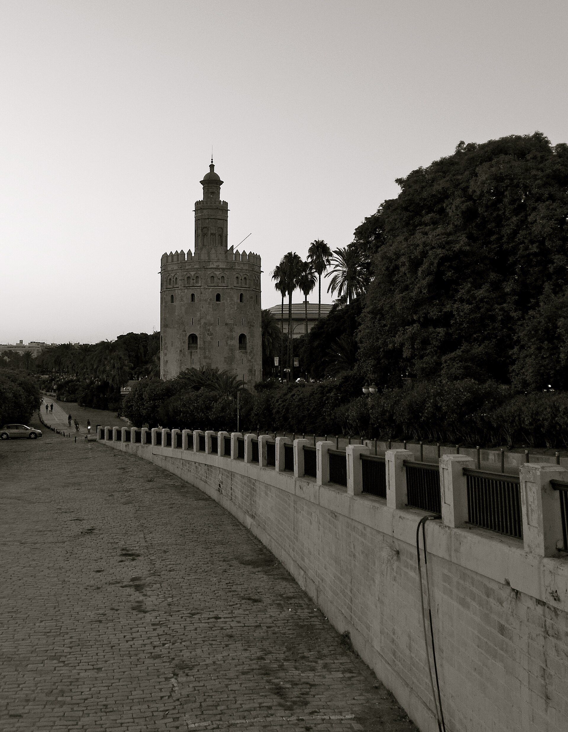 Alt text: Black and white photo of a historic tower with palm trees and a cobblestone path.