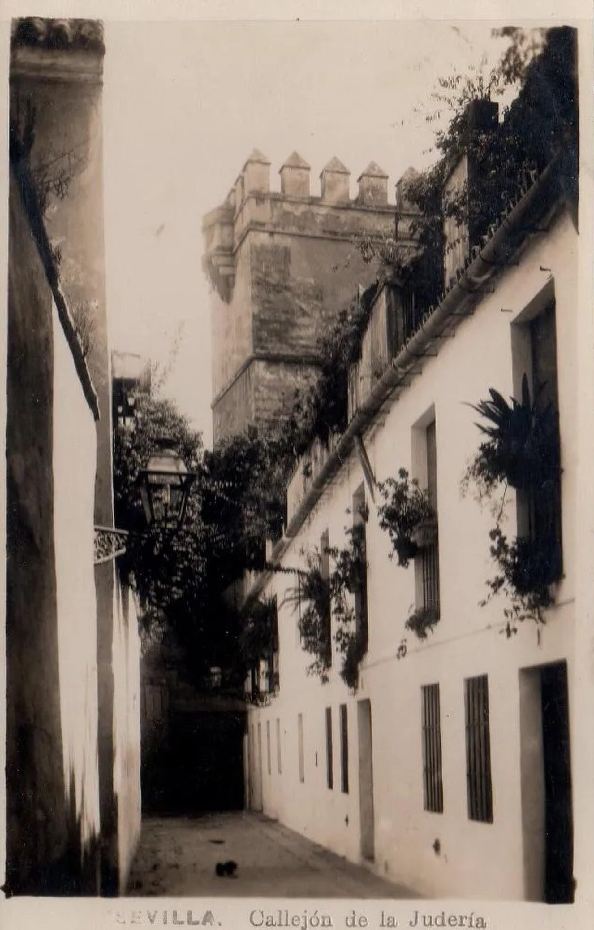 Narrow alley with white buildings, greenery, and a tall tower in the background.
