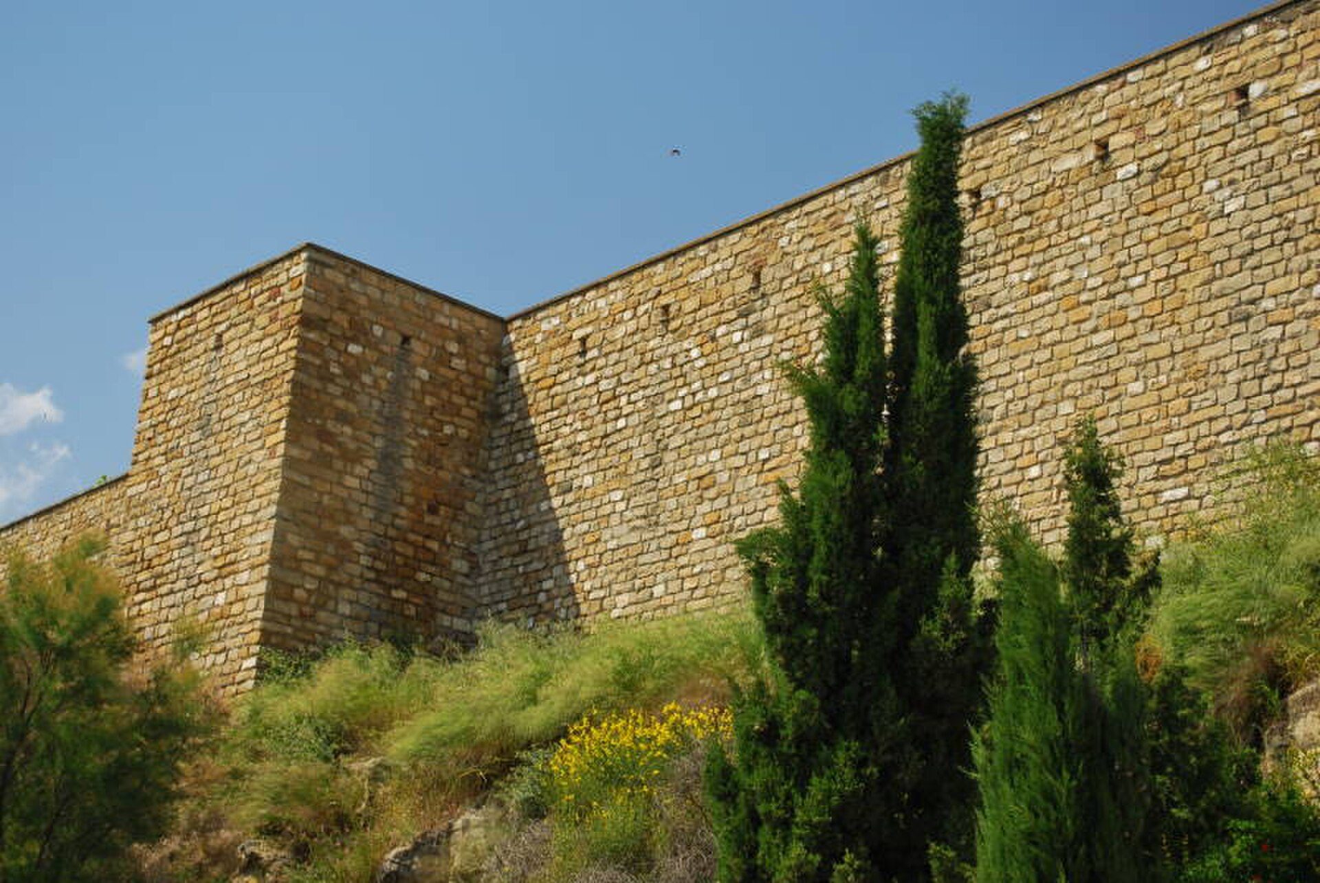 ES Ubeda 1105 (86)