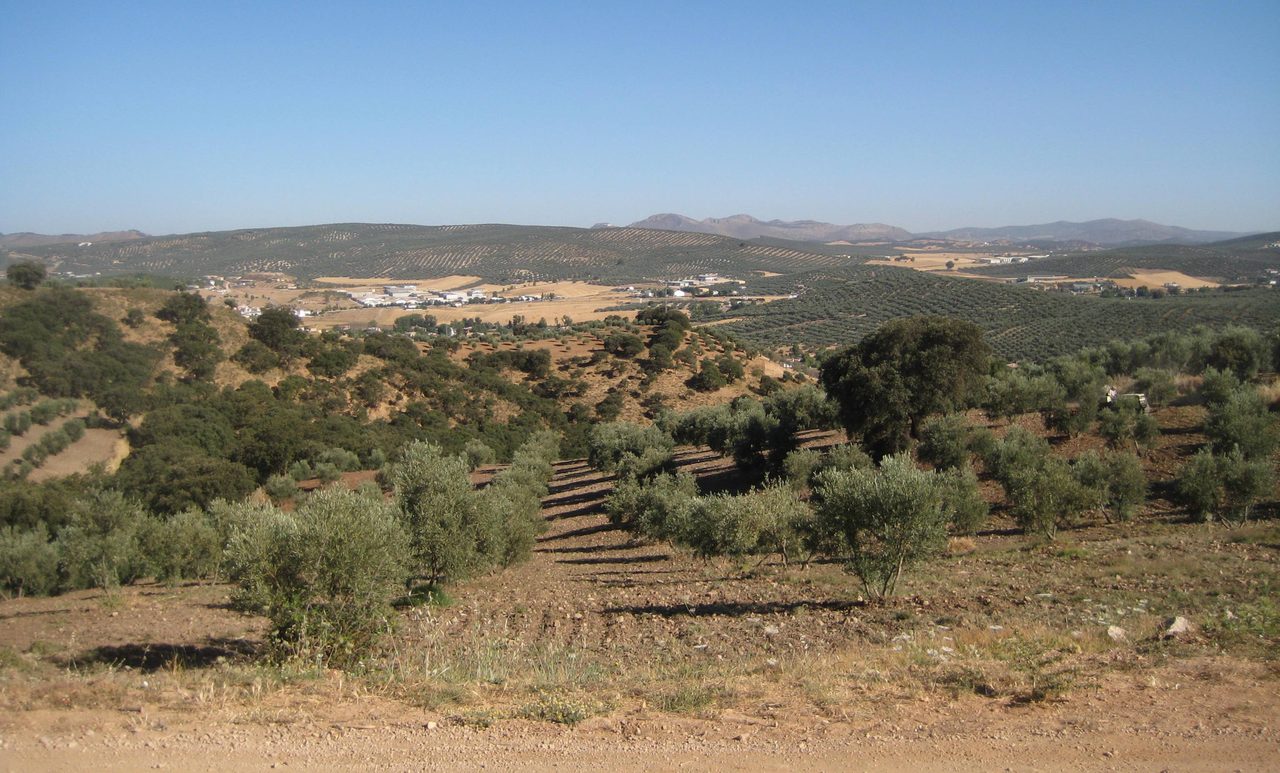Villanueva del Trabuco