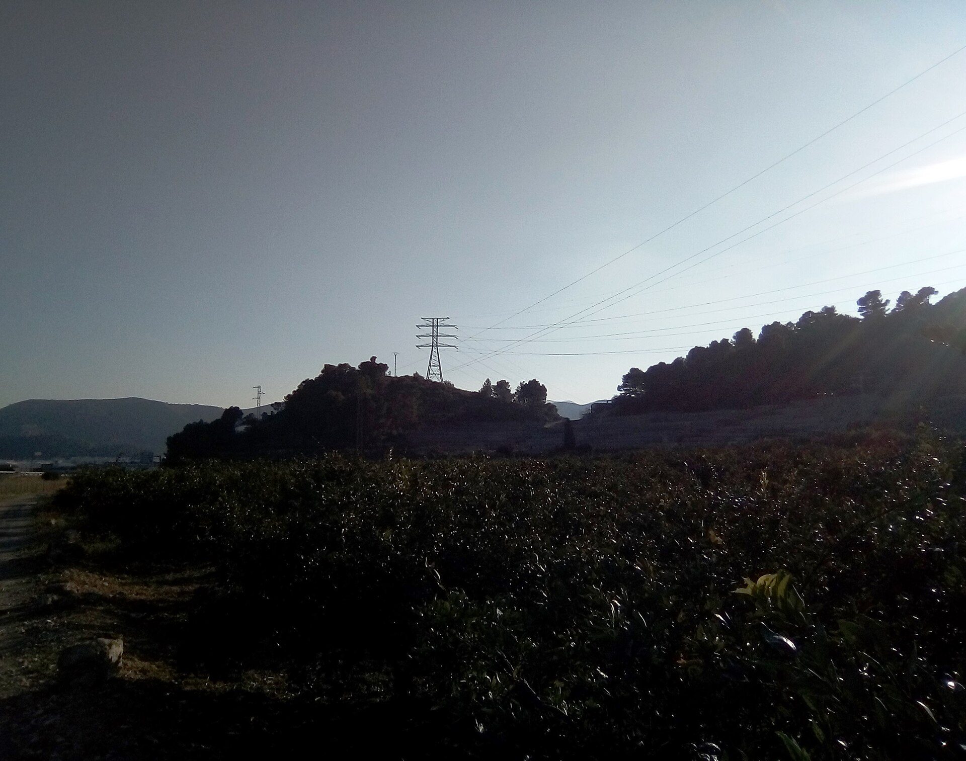 Fotografia feta des del nord-oest. Hom pot veure abancalaments i cultius de la partida Calamau, a més de la torre d'alta tensió. Les muntanyes al fons són de Xeresa i Gandia | Castell | CC BY-SA 4.0