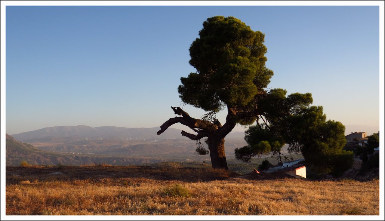 "Landscape near Campo Cámara, Andalusia". But Campo Cámara is about 3 mi north of the northernmost point of the municipality of Zújar, so why is this in the category "Zújar"? And where is it exactly? | agracier - NO VIEWS | CC BY-SA 3.0