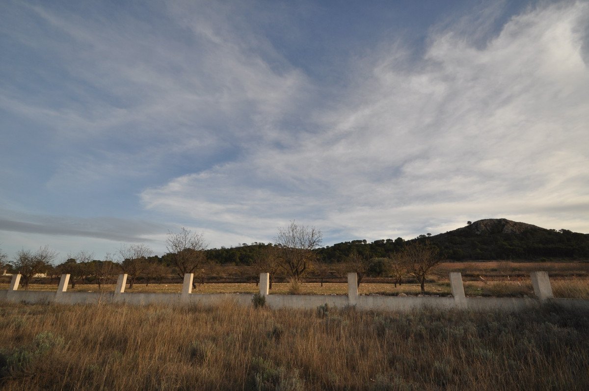 05 photo