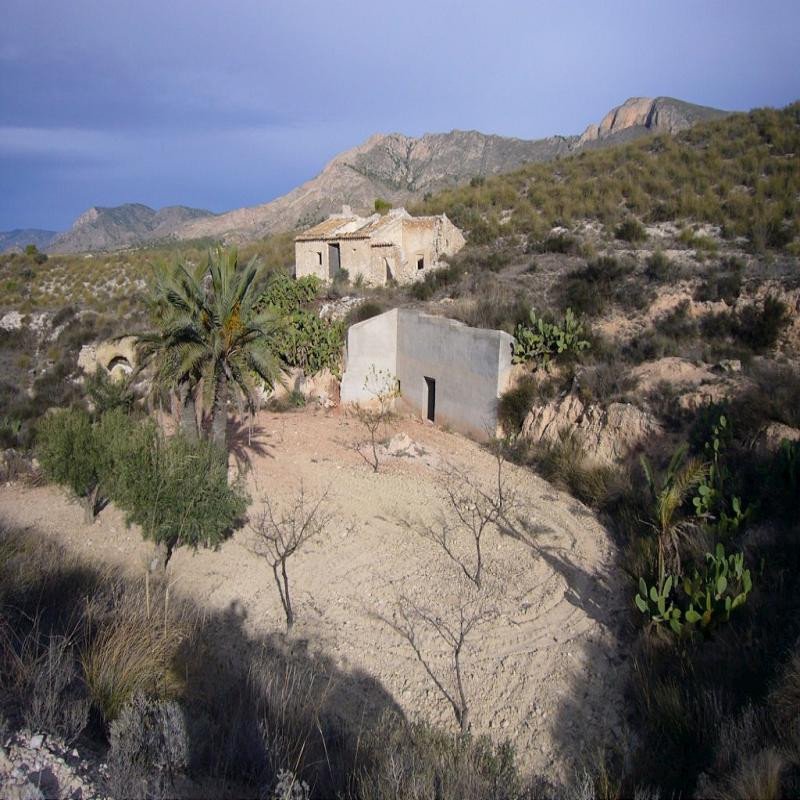3 Bed Finca in Macisvenda in Macisvenda, 