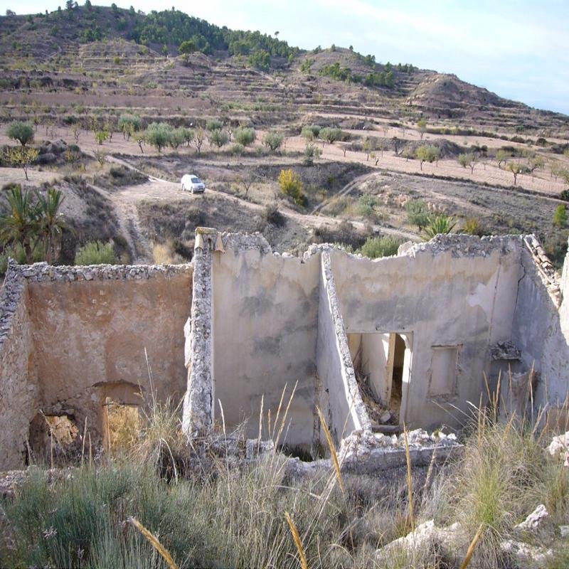 05 photo