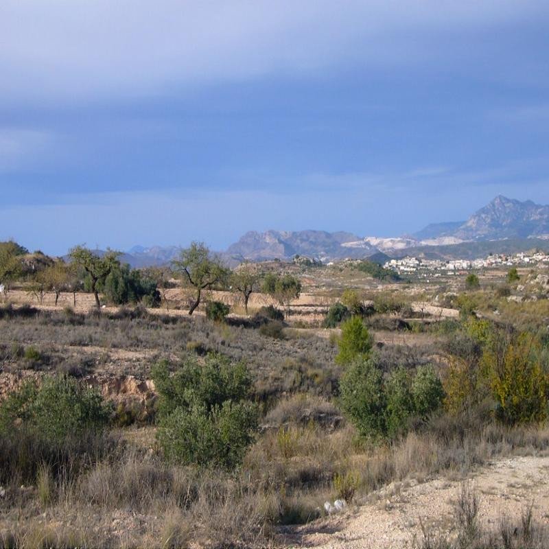06 photo