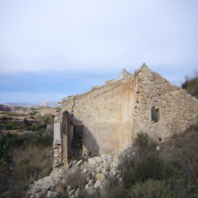 07 photo