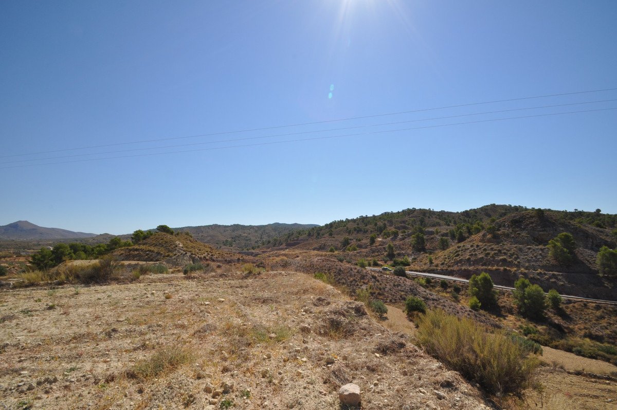 06 photo