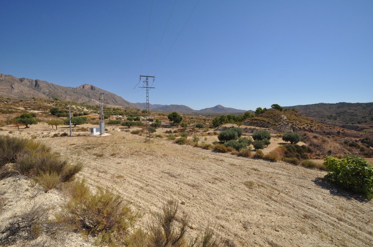 07 photo