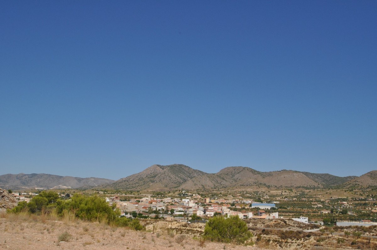 03 photo