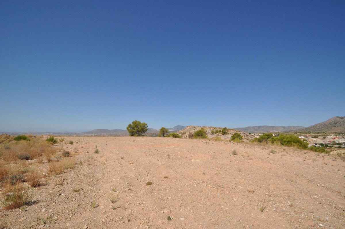 06 photo