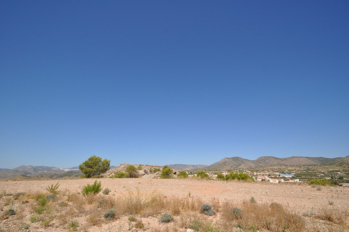 07 photo