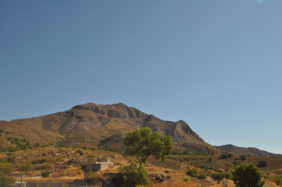 02 photo