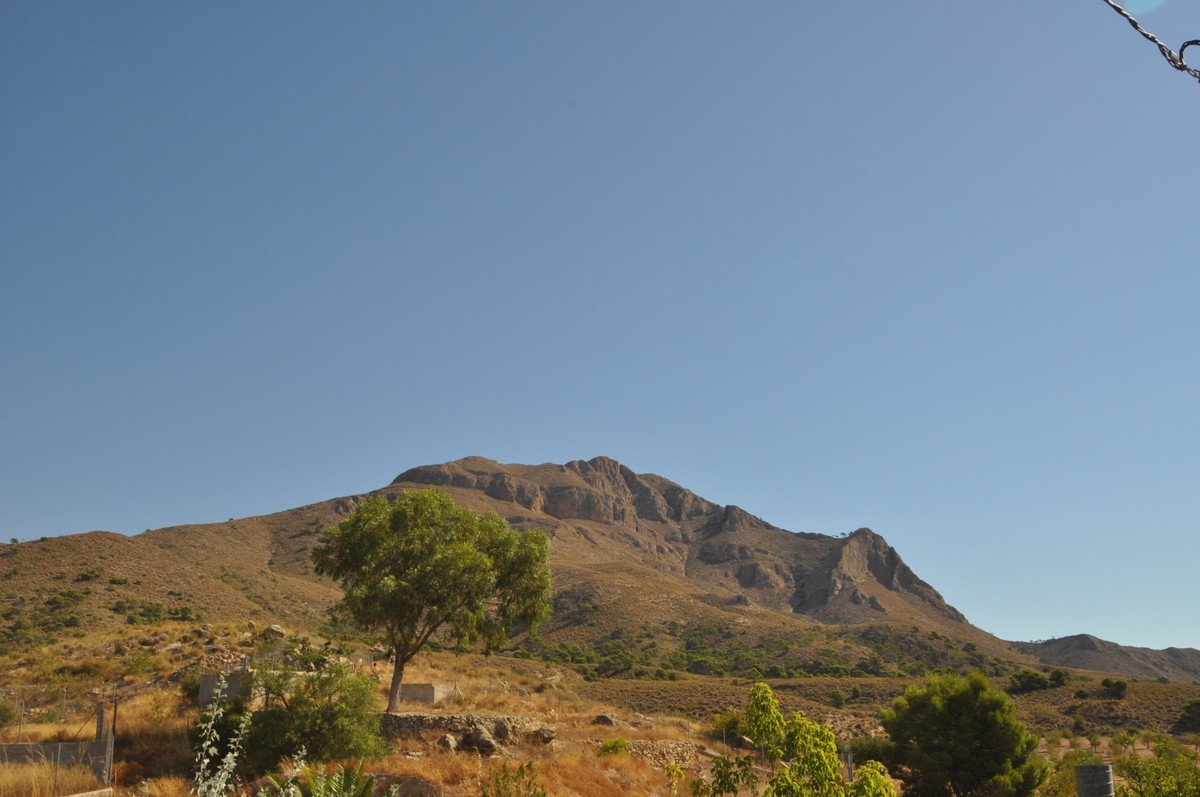 04 photo