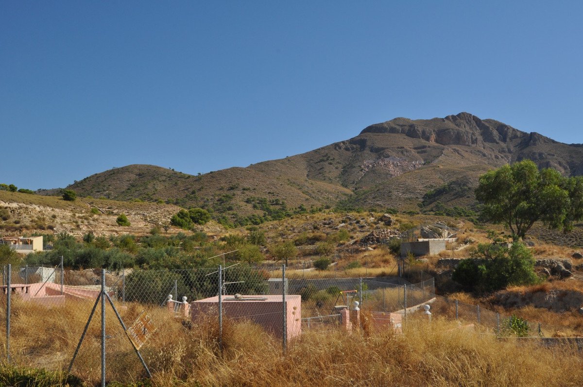 06 photo