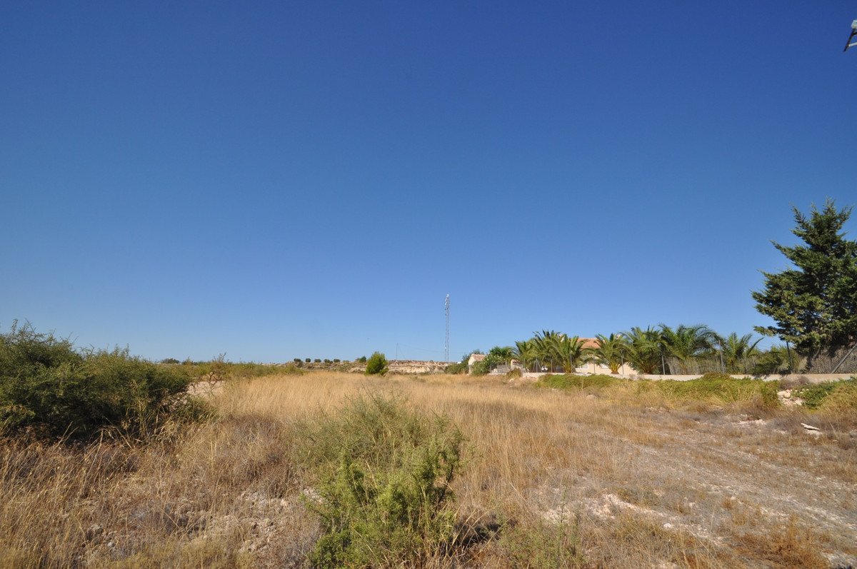 07 photo