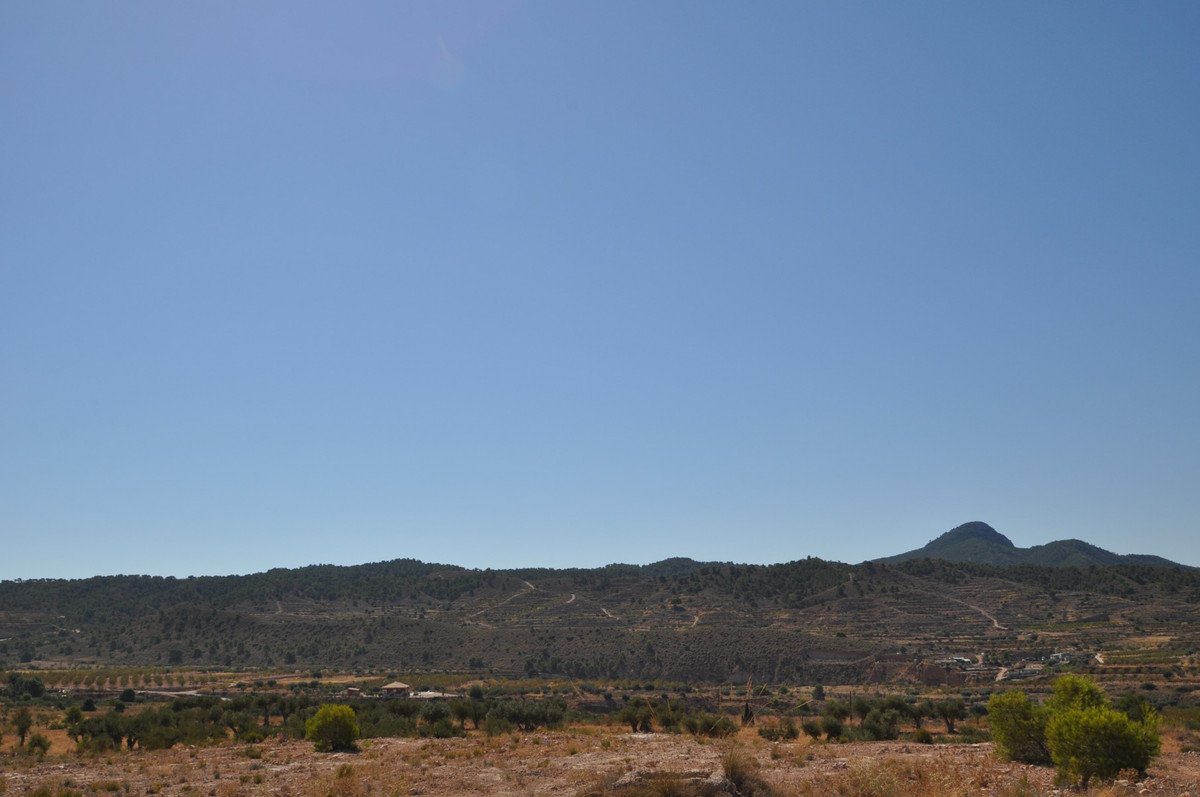 03 photo