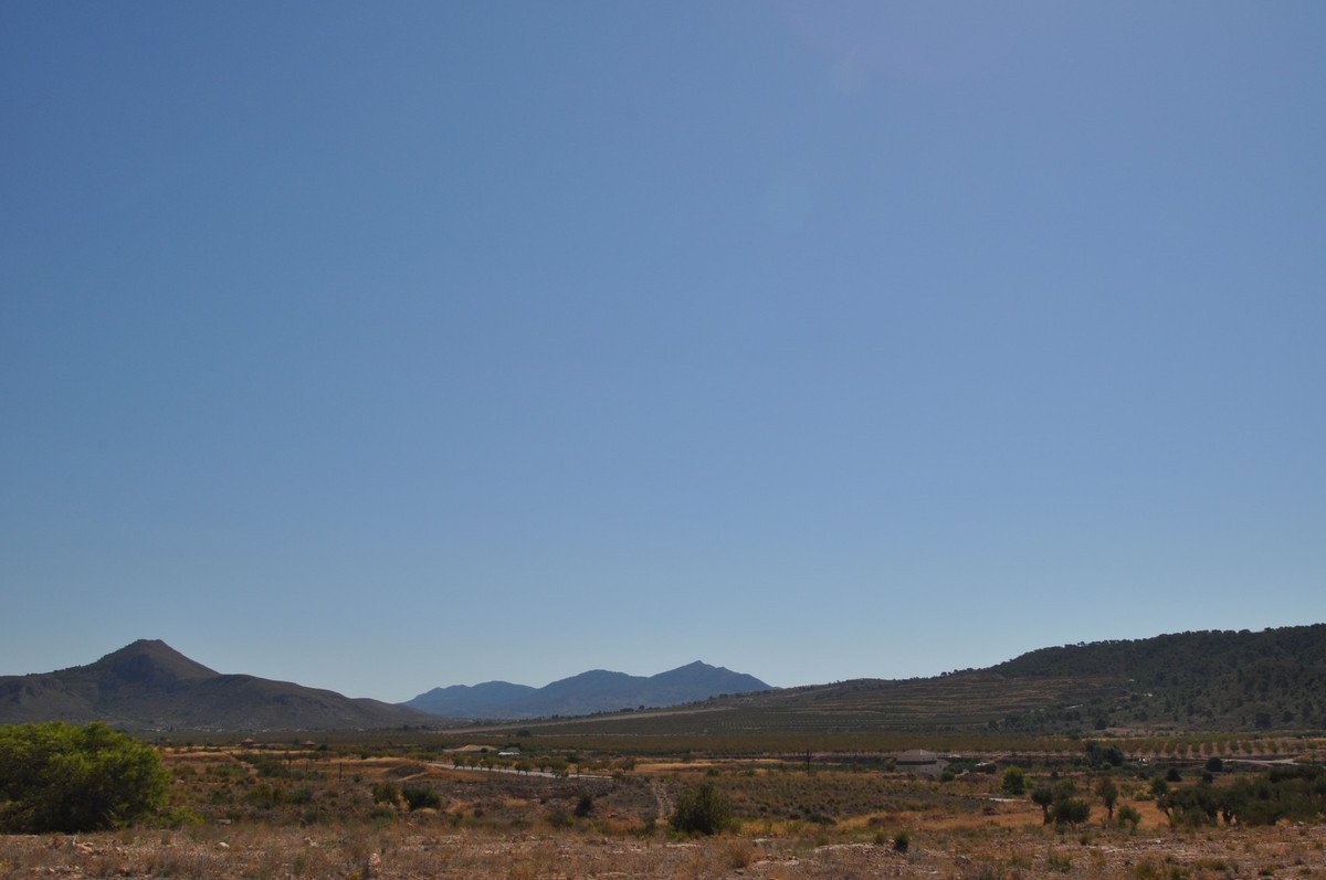 02 photo