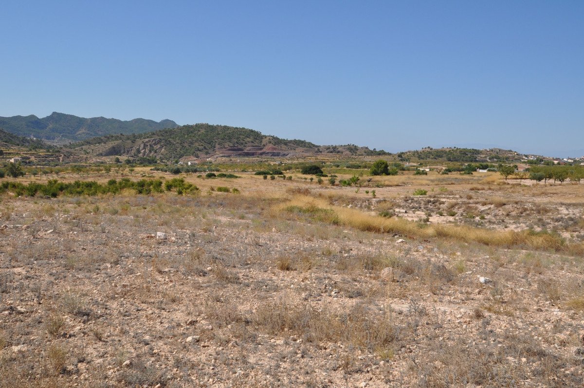 06 photo