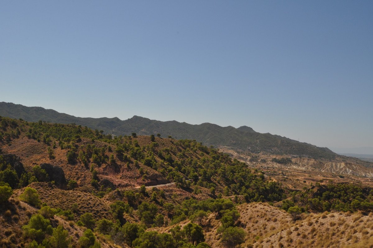 02 photo