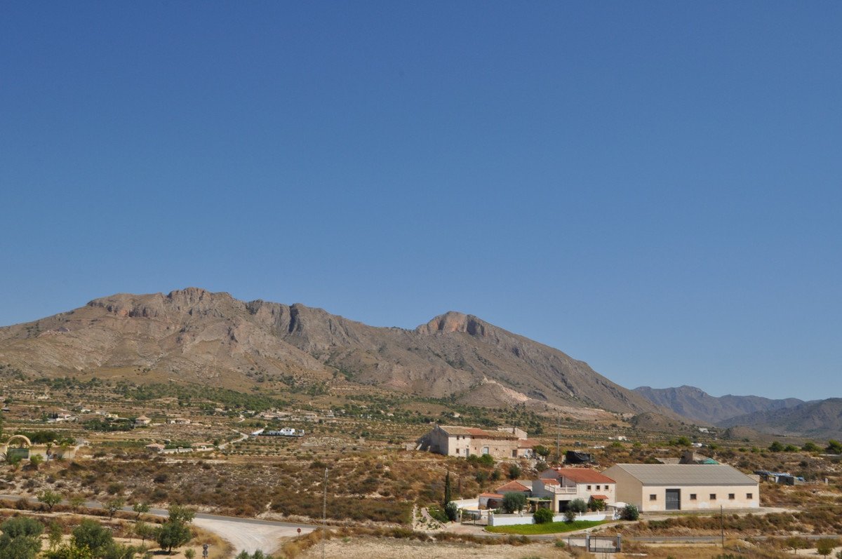 03 photo