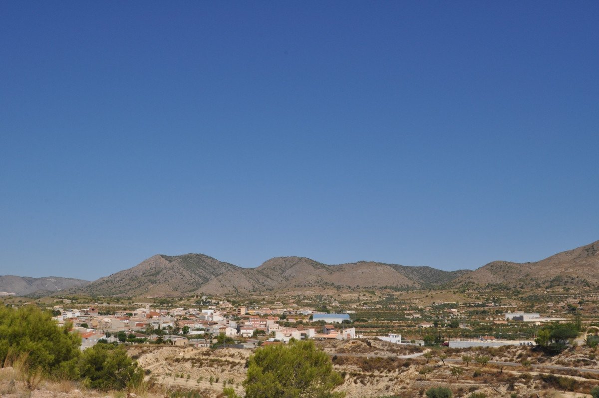 04 photo