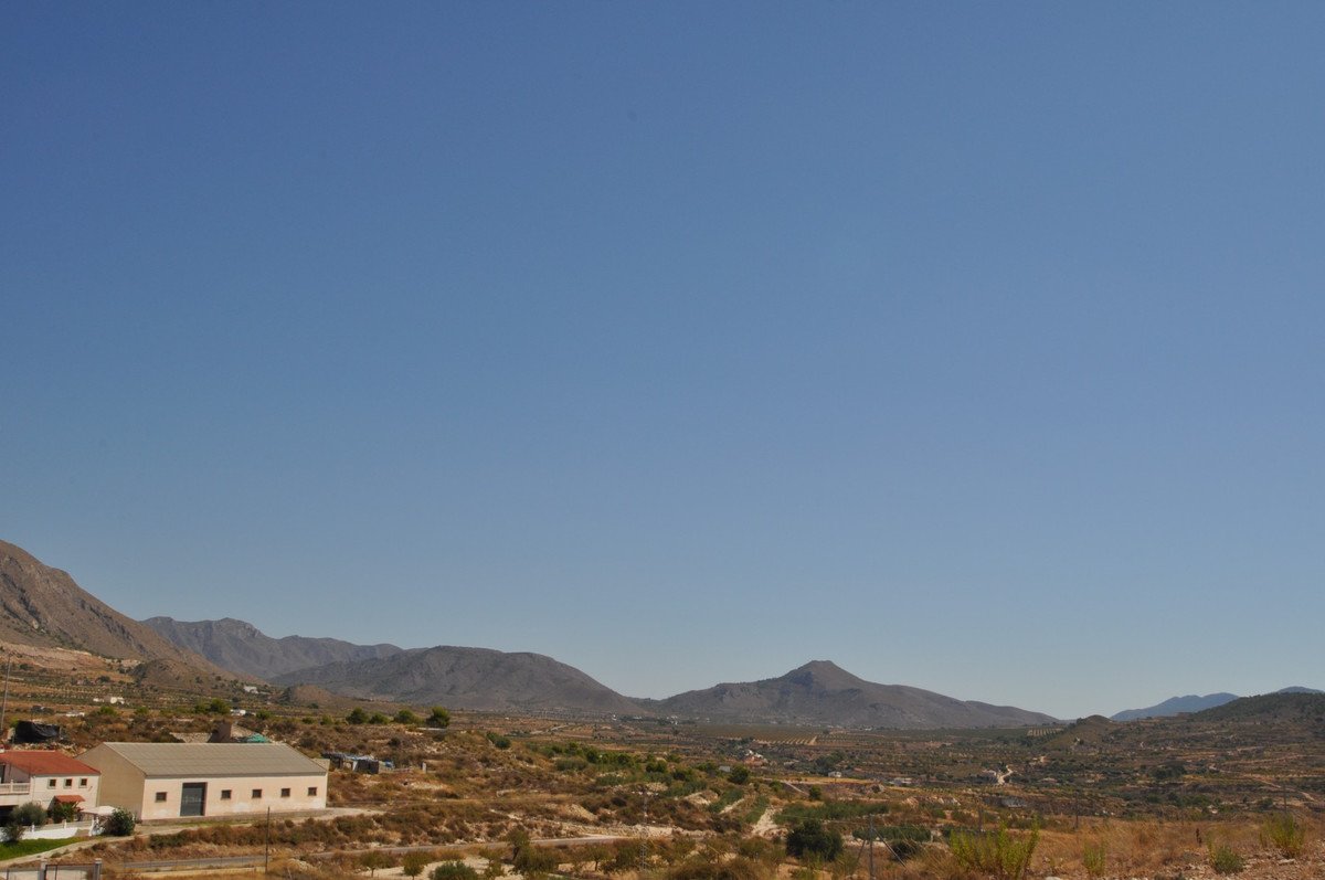 06 photo