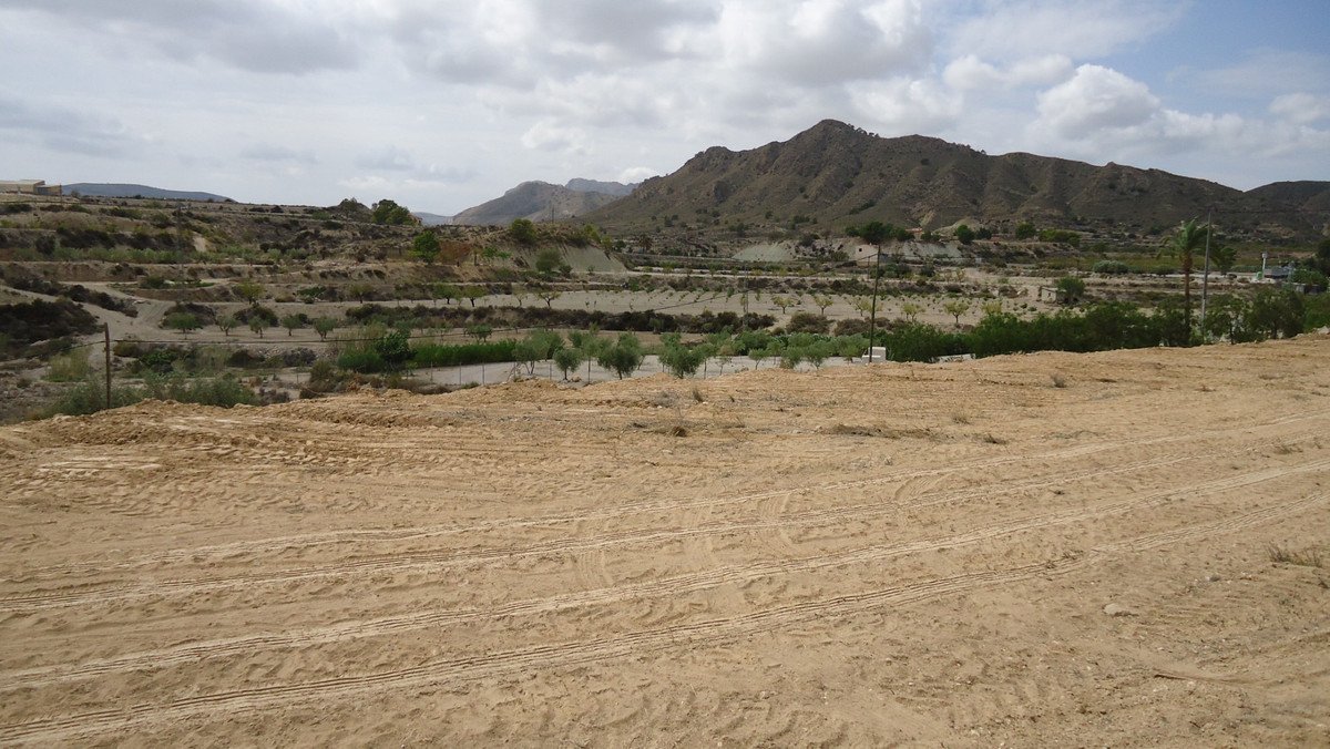 Land in Abanilla