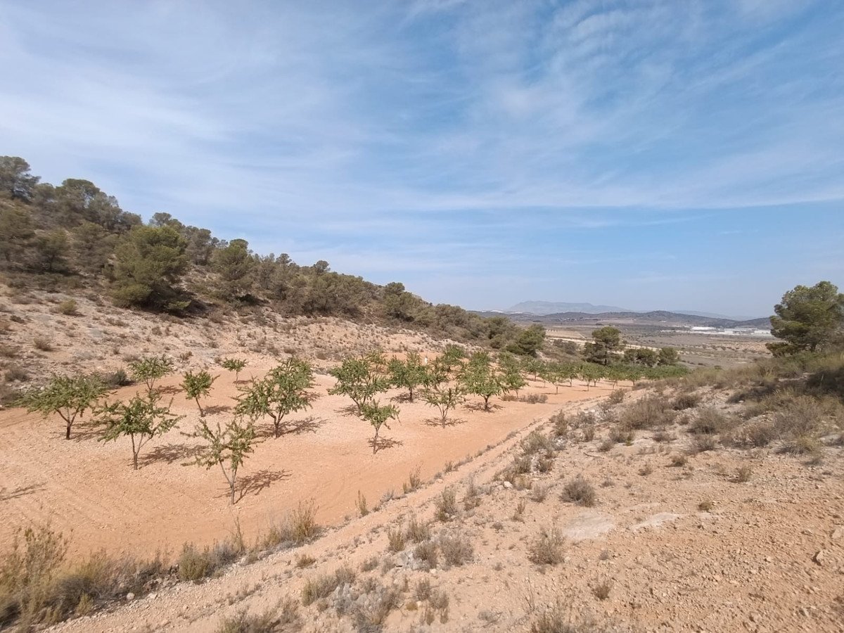 Land in Abanilla في Abanilla, 