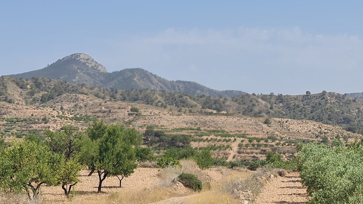 Land in Abanilla in Abanilla, 