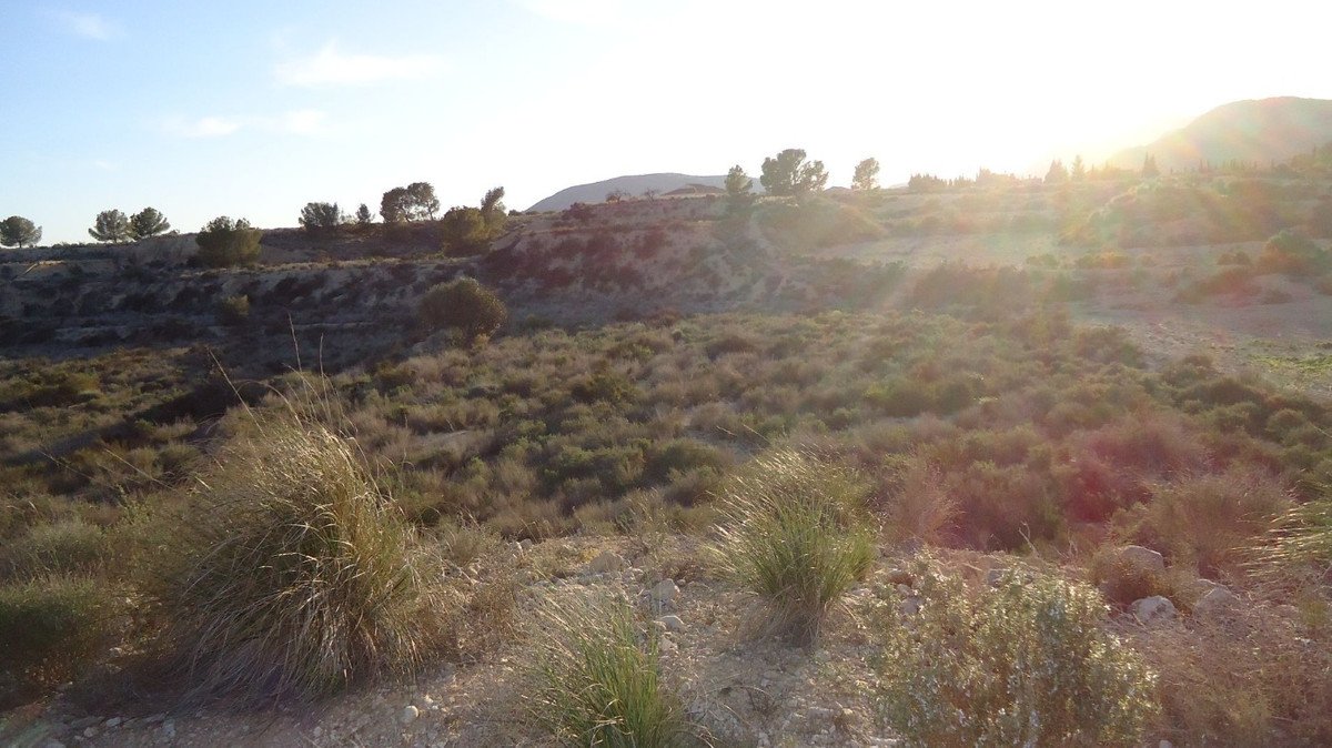 Land in Abanilla في Abanilla, 