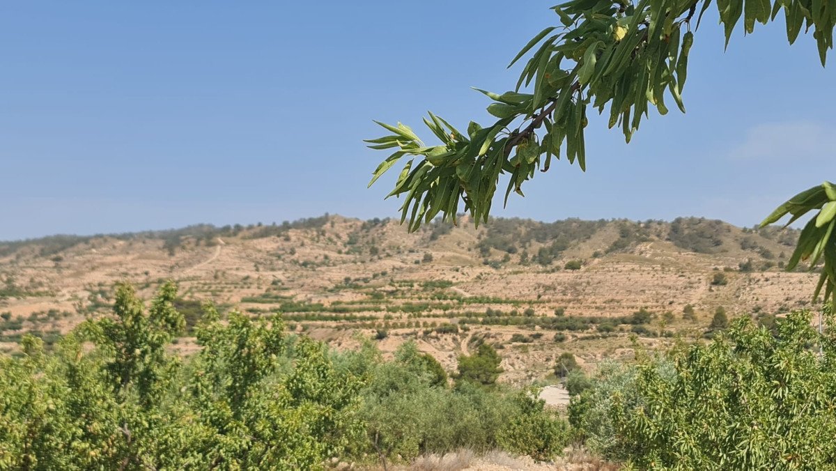 02 photo