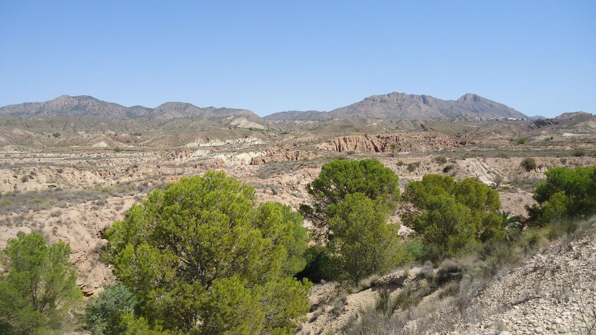 06 photo