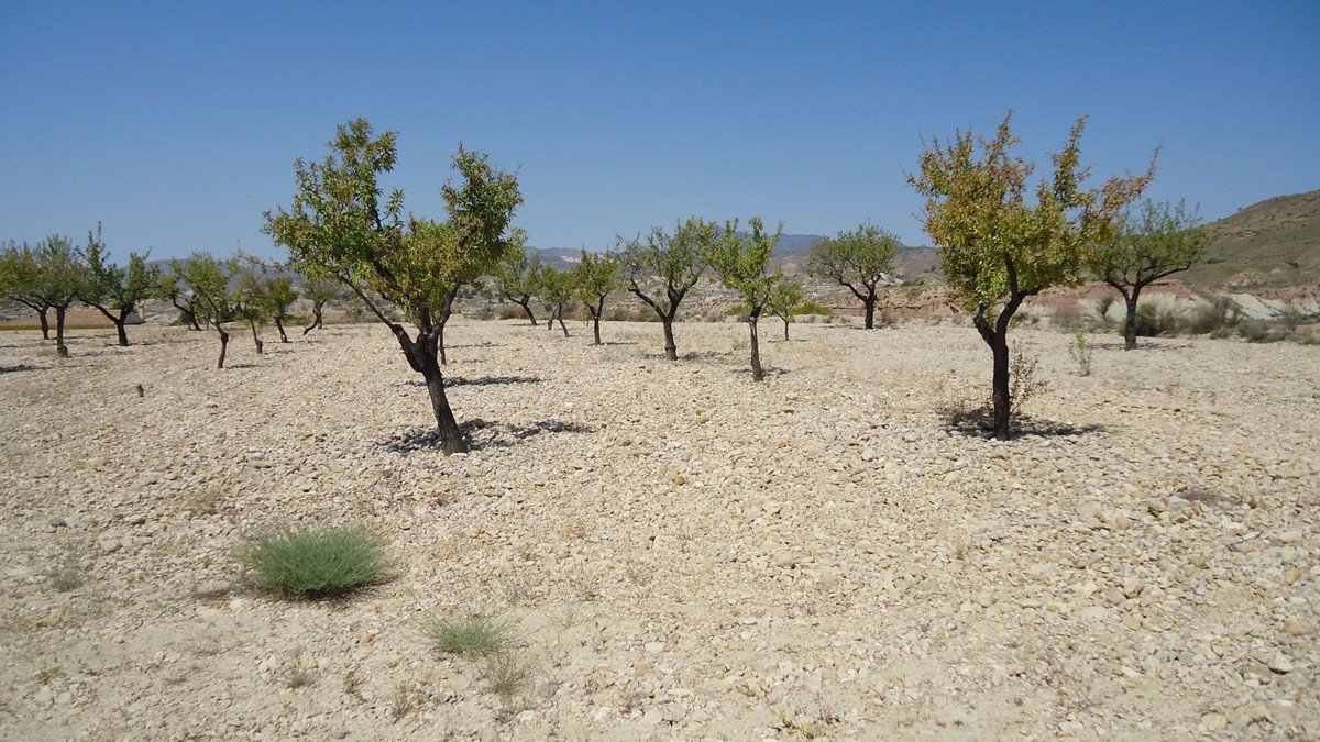 07 photo