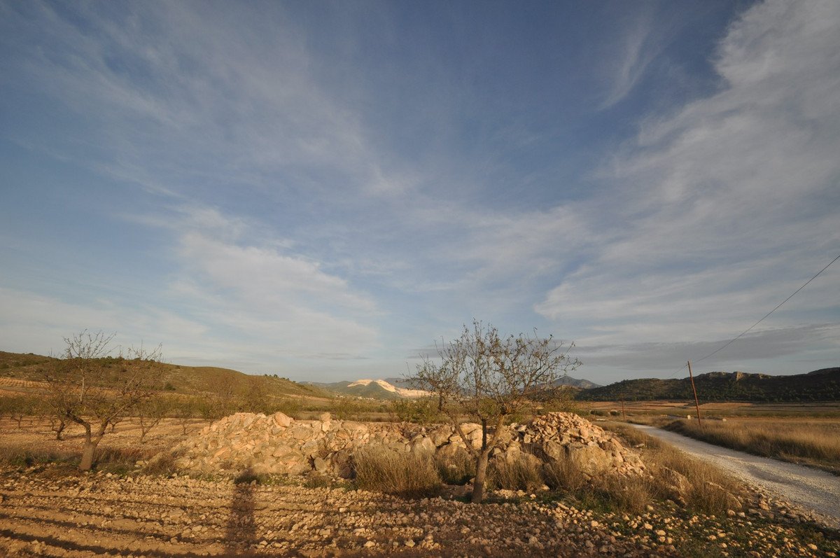 Land in Abanilla في Abanilla, 