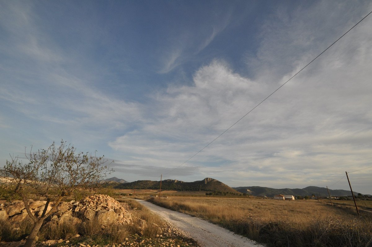04 photo