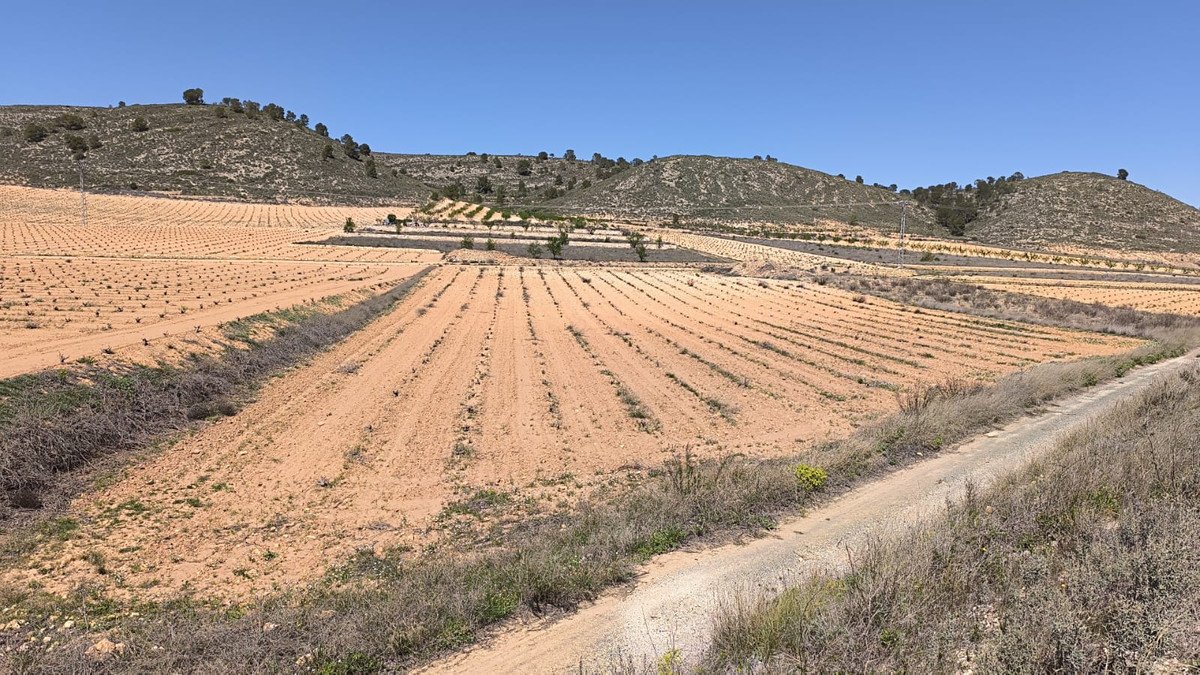 Land in Abanilla في Abanilla, 