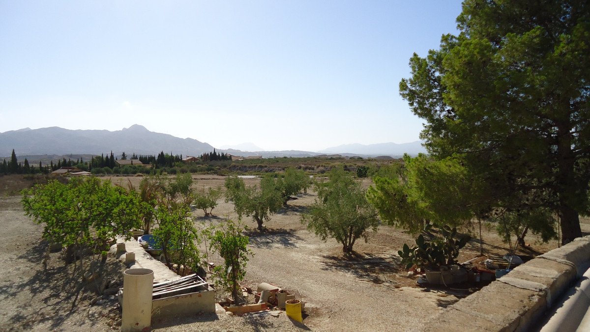 Land in Abanilla في Abanilla, 
