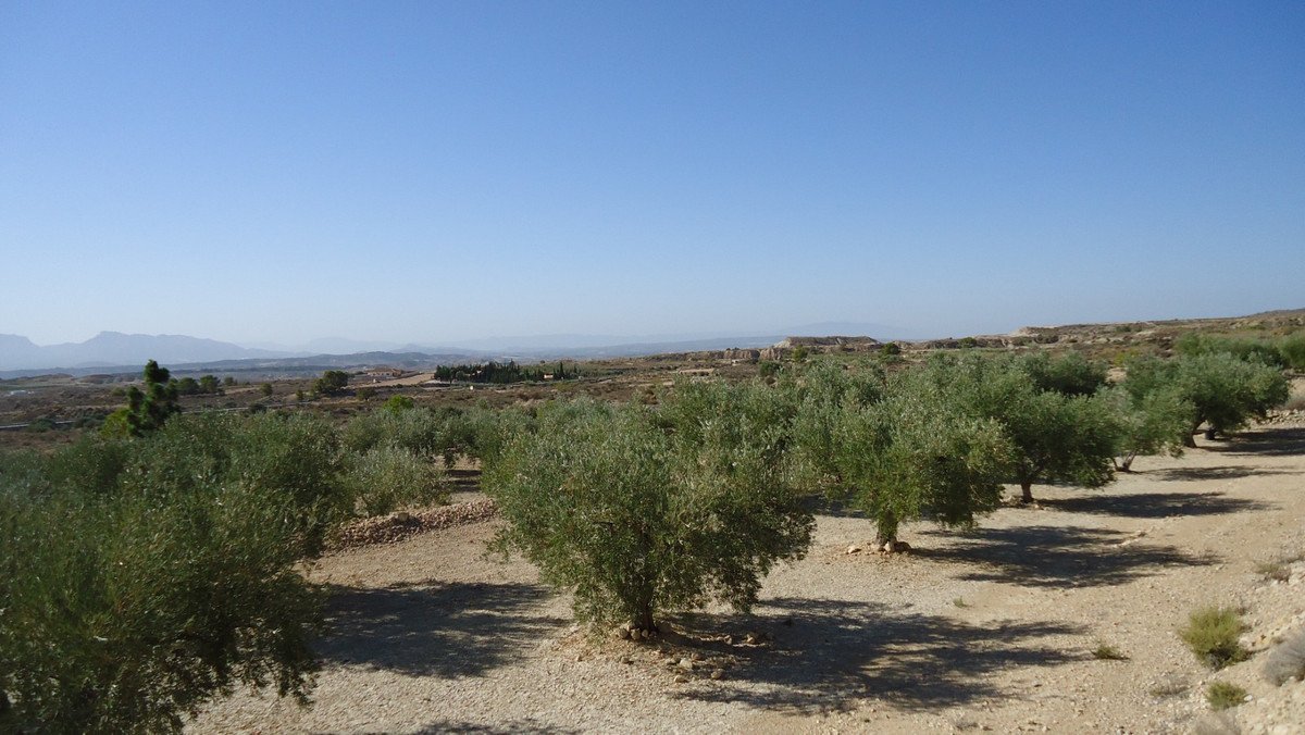 03 photo