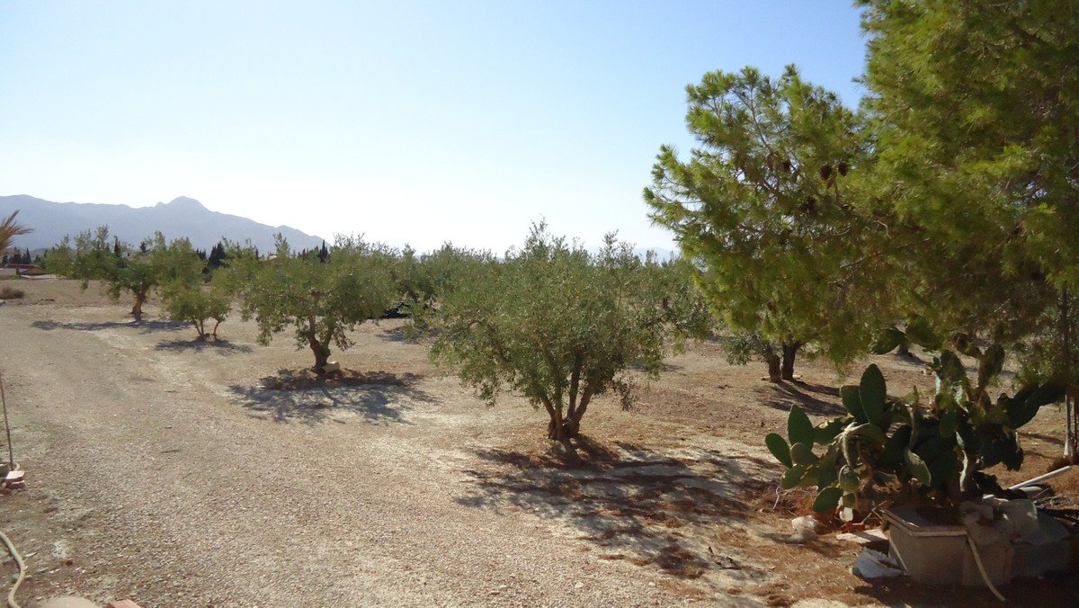05 photo