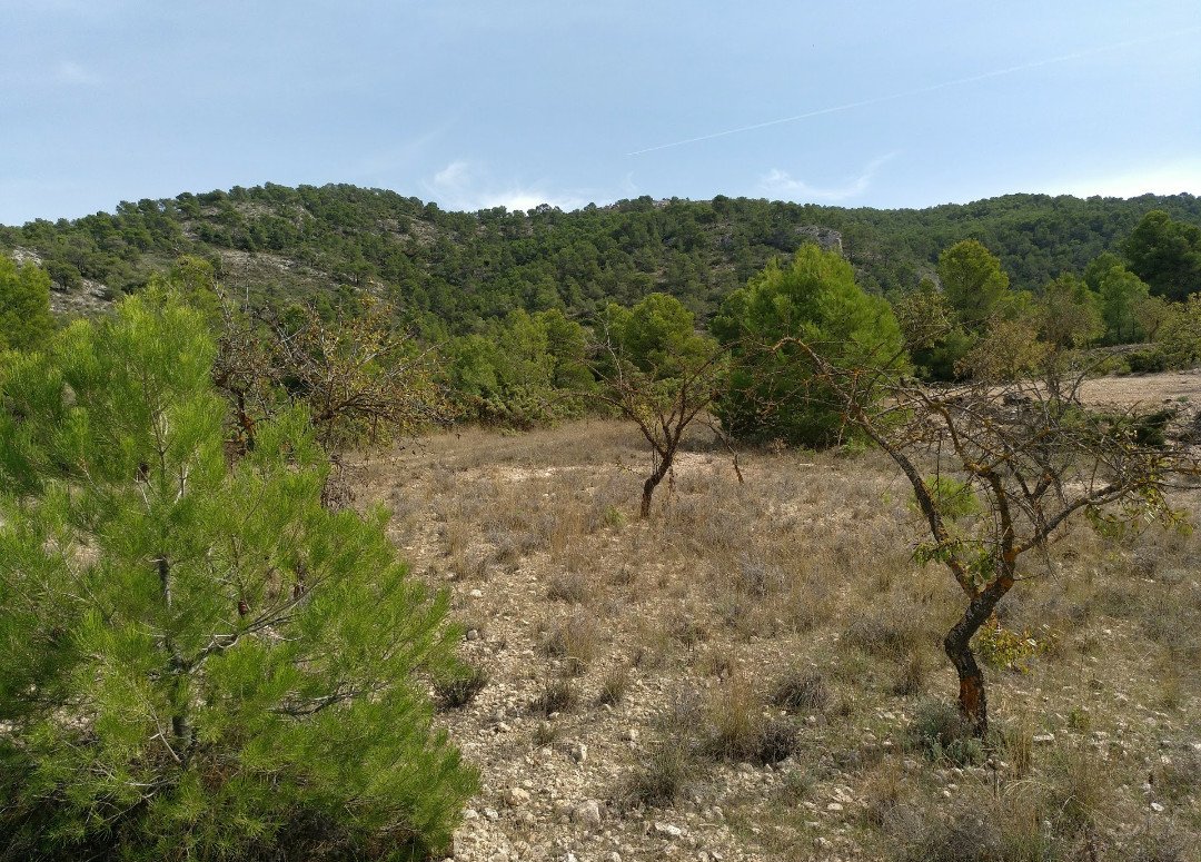 07 photo