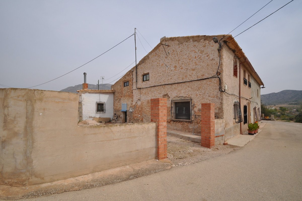 05 photo