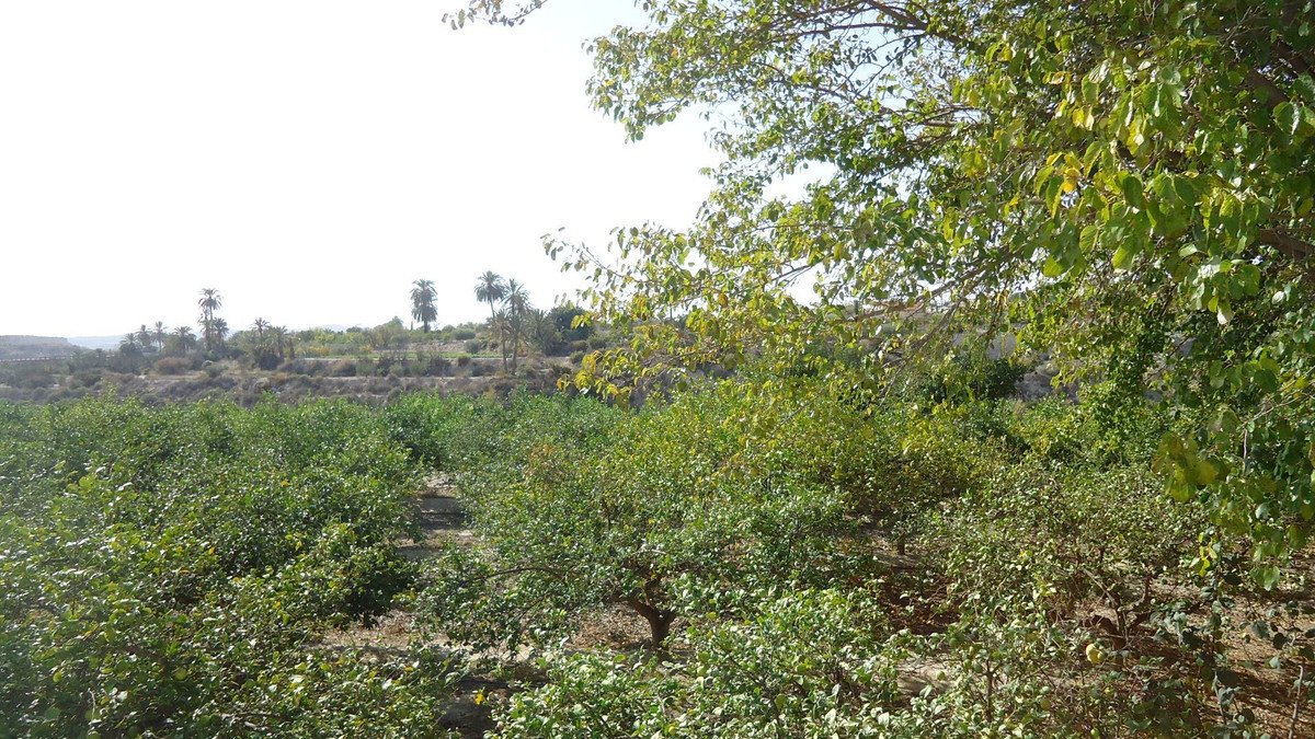 05 photo