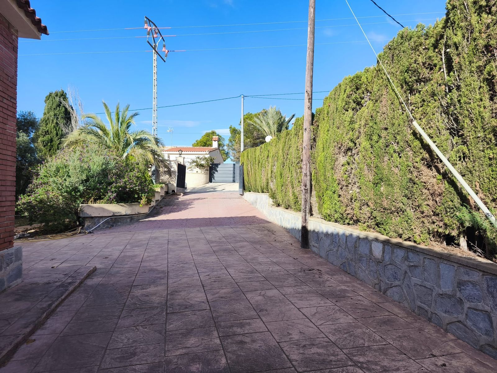 Oprit naar woning met groene beplanting en stenen bestrating.