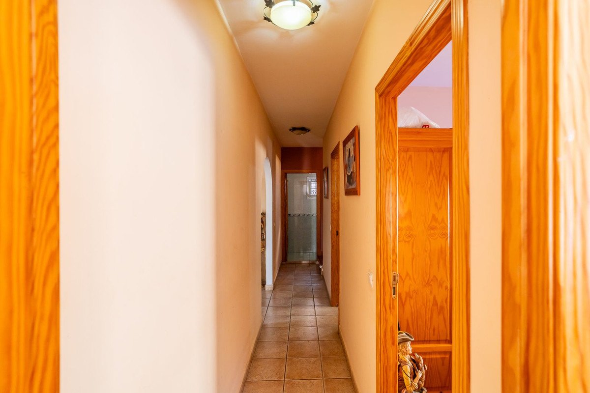 04 photo