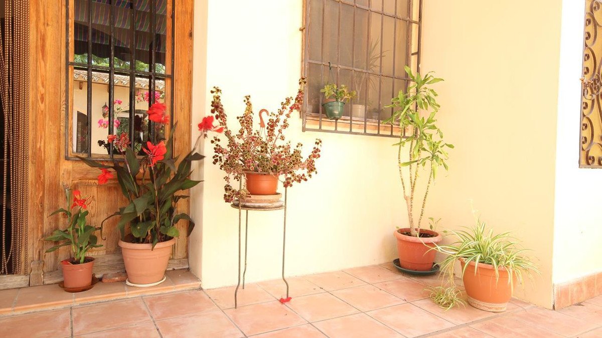 26 photo