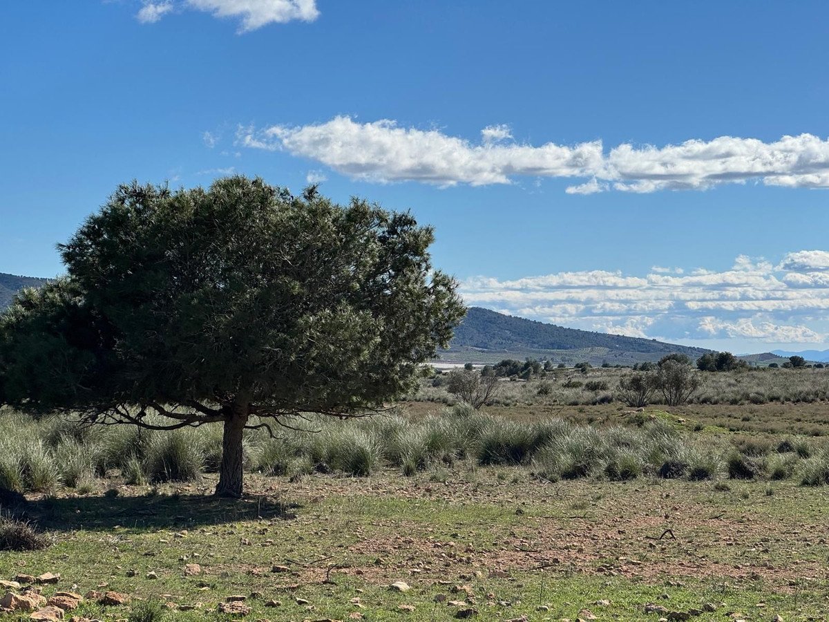 06 photo