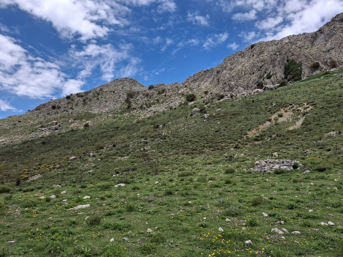 Heuvellandschap met rotsachtige berg en groene hellingen onder een blauwe lucht.