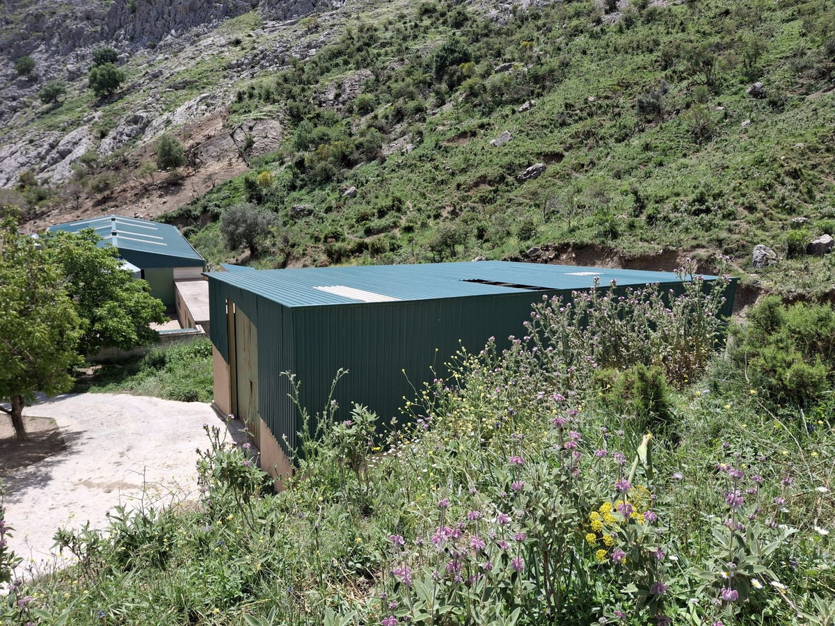 Exterieur van een berghut omgeven door groen